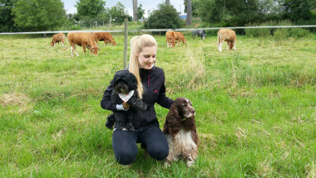 Pfotennanny Louisa aus Heppenheim › Pfoten Nanny