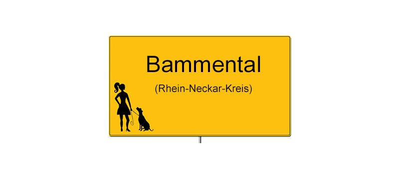 Ortsschild Bammental